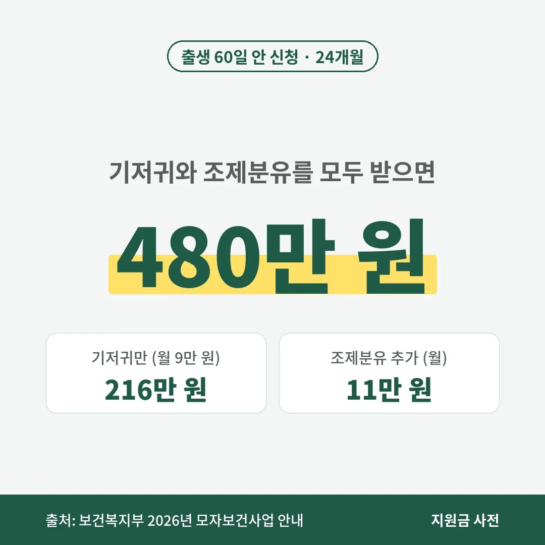출생 60일 안에 신청하면 24개월 동안 기저귀와 조제분유를 합쳐 480만 원, 기저귀만이면 216만 원을 받습니다. 조제분유는 월 11만 원입니다.