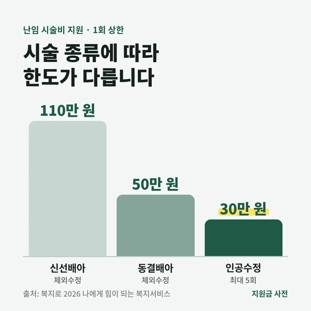 난임 시술비 1회 지원 상한은 체외수정 신선배아 110만 원, 동결배아 50만 원, 인공수정 30만 원입니다.